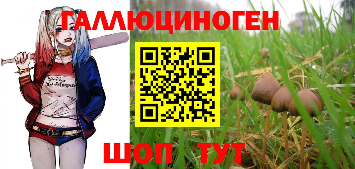 Галлюциногенные грибы Magic Shrooms  Вход с VPN  Ставрополь 