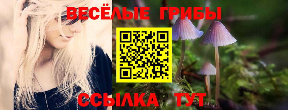 Псилоцибиновые грибы прущие грибы Ставрополь